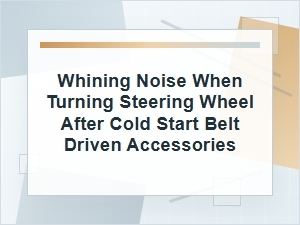 Whining Noise When Turning the Steering Wheel Cold Start