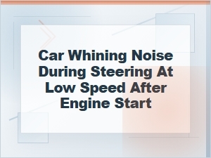 Car Whining Noise When Steering After Engine Start
