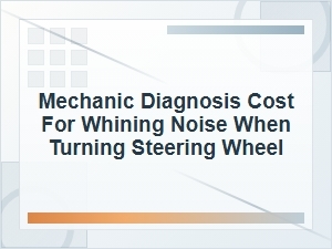 Mechanic Diagnosis Cost for Whining Steering Noise