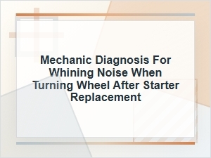 Mechanic Diagnosis for Whining After Starter Replacement